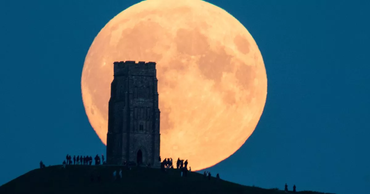 Rare Stugeon Supermoon to light up the night sky  driver updater tonight